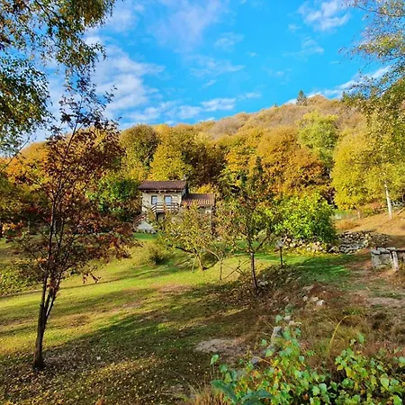 Villino Camparbino Vista D Orta *